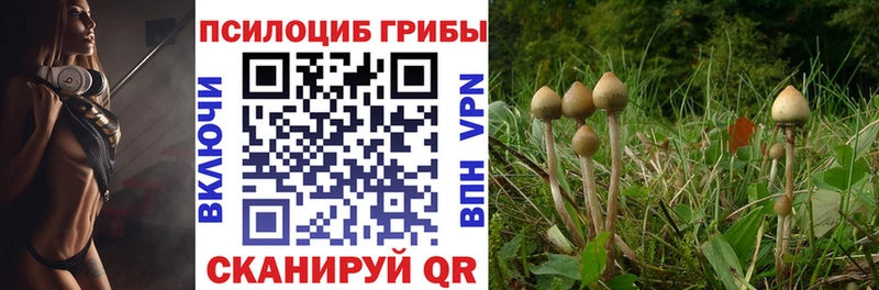 как найти   Отрадная  Галлюциногенные грибы мицелий 